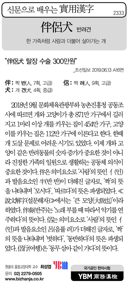 [신문으로 배우는 실용한자] 반려견(伴侶犬)