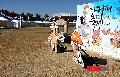 �������̹���