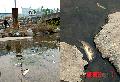 �������̹���