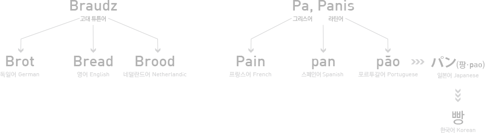 Braudz - Brot, Bread, Brood / Pa,Panis - Pain, Pan, Pao - Pao - 빵