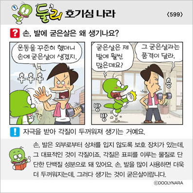 �Ѹ�ȣ��ɳ���