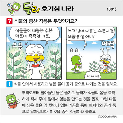 �Ѹ�ȣ��ɳ���