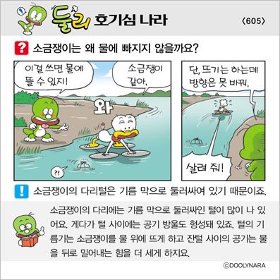 �Ѹ�ȣ��ɳ���