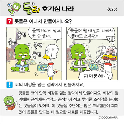 �Ѹ�ȣ��ɳ���