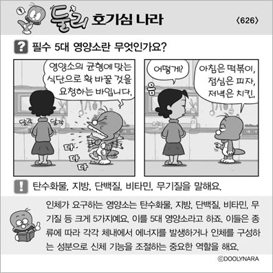 �Ѹ�ȣ��ɳ���