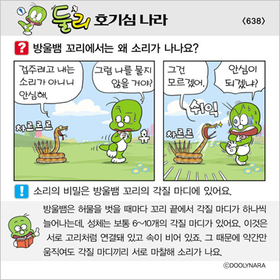 �Ѹ�ȣ��ɳ���