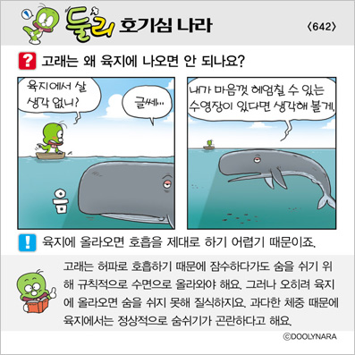 �Ѹ�ȣ��ɳ���