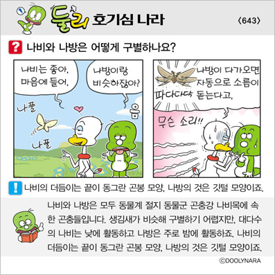 �Ѹ�ȣ��ɳ���