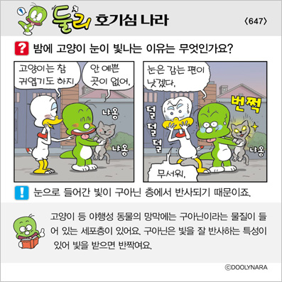 �Ѹ�ȣ��ɳ���