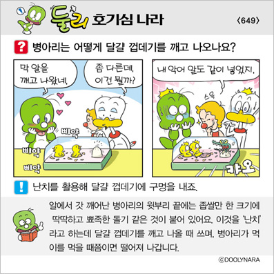 �Ѹ�ȣ��ɳ���