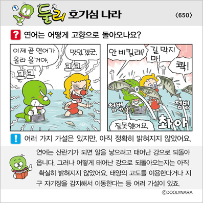 �Ѹ�ȣ��ɳ���