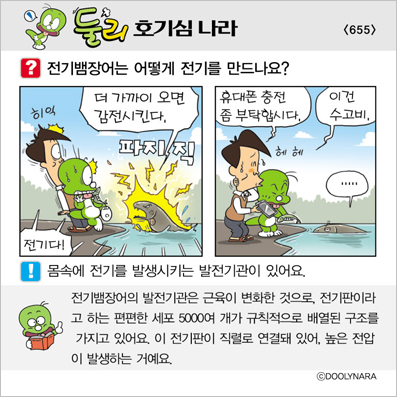 �Ѹ�ȣ��ɳ���