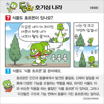 �Ѹ�ȣ��ɳ���