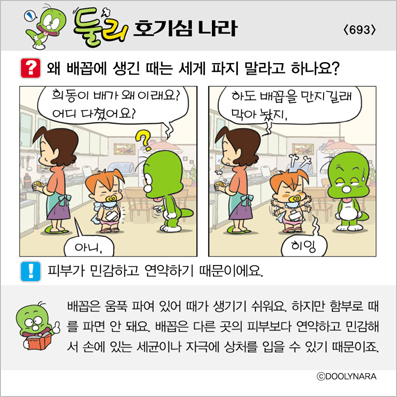 �Ѹ�ȣ��ɳ���