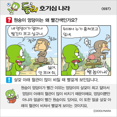 �Ѹ�ȣ��ɳ���