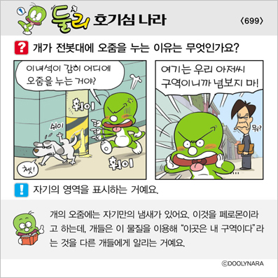 �Ѹ�ȣ��ɳ���