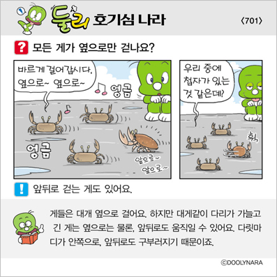 �Ѹ�ȣ��ɳ���