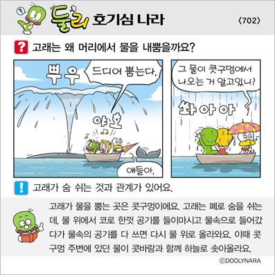 �Ѹ�ȣ��ɳ���