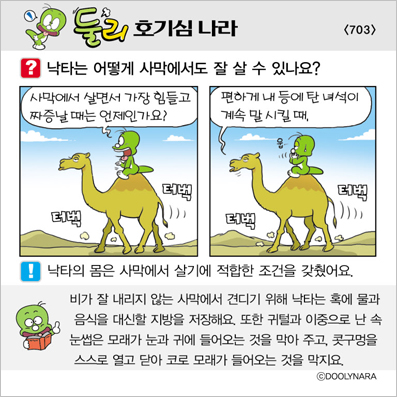 �Ѹ�ȣ��ɳ���