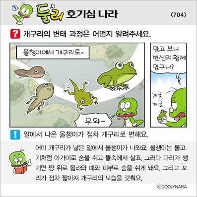 �Ѹ�ȣ��ɳ���