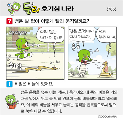 �Ѹ�ȣ��ɳ���