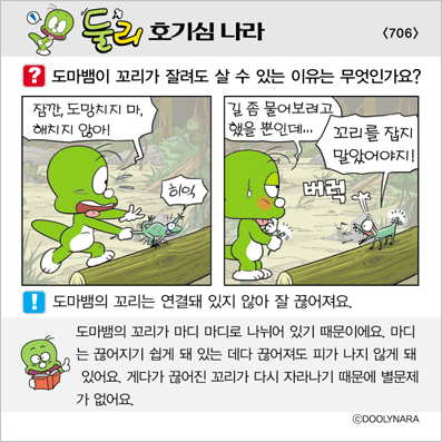 �Ѹ�ȣ��ɳ���