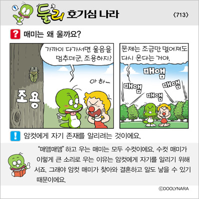 �Ѹ�ȣ��ɳ���