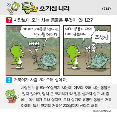 �Ѹ�ȣ��ɳ���