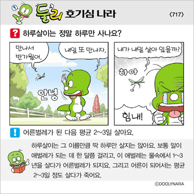 �Ѹ�ȣ��ɳ���