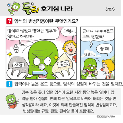 �Ѹ�ȣ��ɳ���