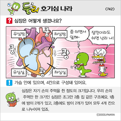 �Ѹ�ȣ��ɳ���