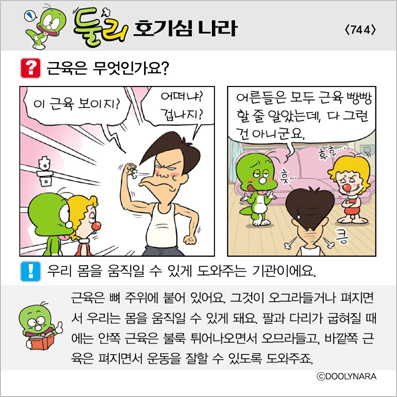 �Ѹ�ȣ��ɳ���