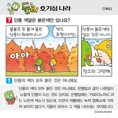 �Ѹ�ȣ��ɳ���