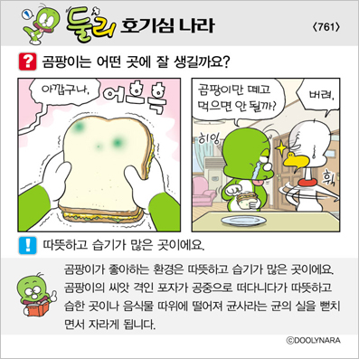 �Ѹ�ȣ��ɳ���