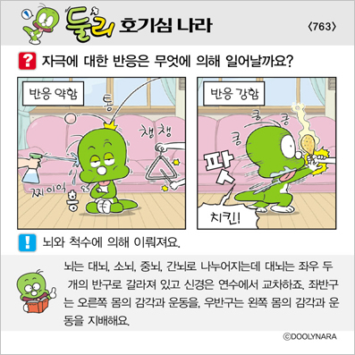 �Ѹ�ȣ��ɳ���