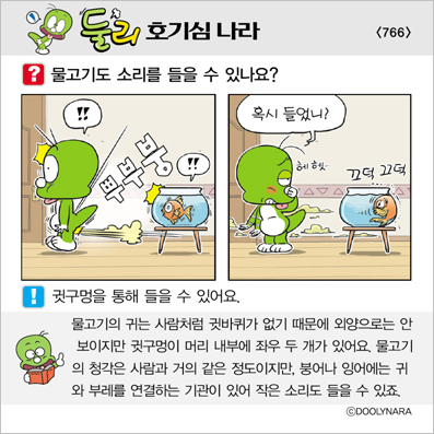 �Ѹ�ȣ��ɳ���