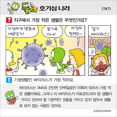 �Ѹ�ȣ��ɳ���