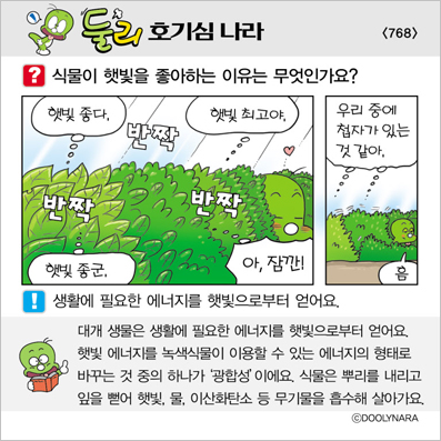 �Ѹ�ȣ��ɳ���