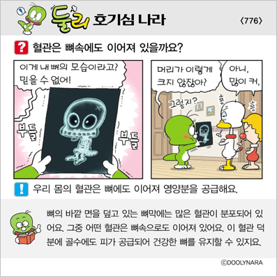 �Ѹ�ȣ��ɳ���