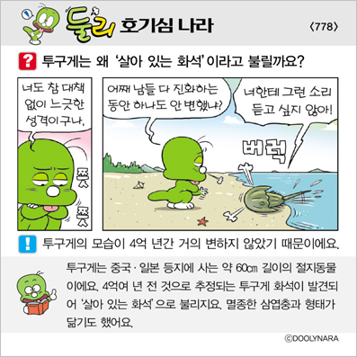 �Ѹ�ȣ��ɳ���