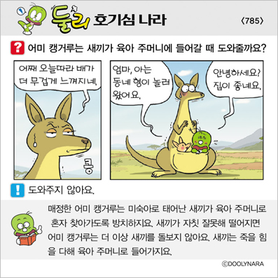 �Ѹ�ȣ��ɳ���