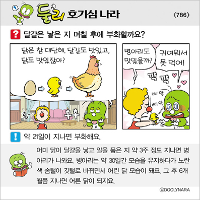 �Ѹ�ȣ��ɳ���