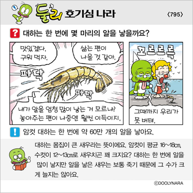 �Ѹ�ȣ��ɳ���