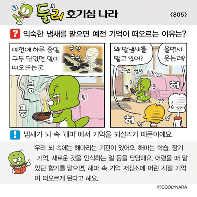 �Ѹ�ȣ��ɳ���