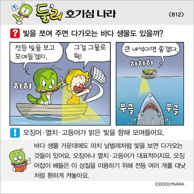 �Ѹ�ȣ��ɳ���