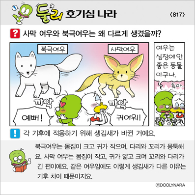 �Ѹ�ȣ��ɳ���