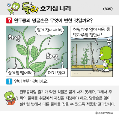 �Ѹ�ȣ��ɳ���