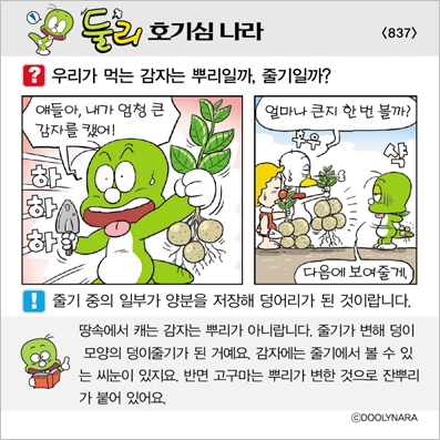 �Ѹ�ȣ��ɳ���