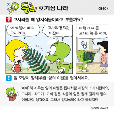 �Ѹ�ȣ��ɳ���