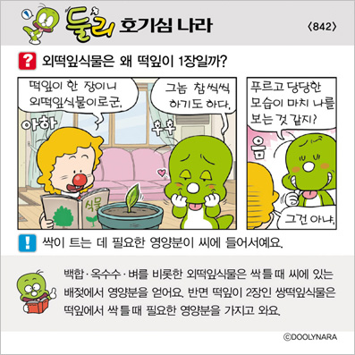 �Ѹ�ȣ��ɳ���